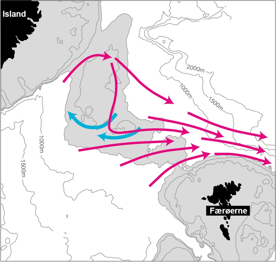 Forskere finder skjult vej i Golfstrømssystemet efter fem års målinger